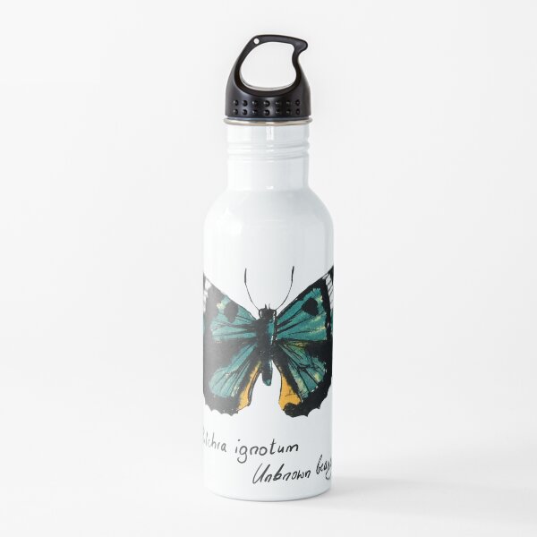 Grüner Schmetterling Pulchra ignotum Trinkflasche