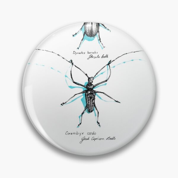 Item preview, beetles designed and sold by Barbara Baumann Illustration.