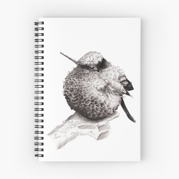 Item preview, Sad and rainy humming bird designed and sold by Remy NININ.
