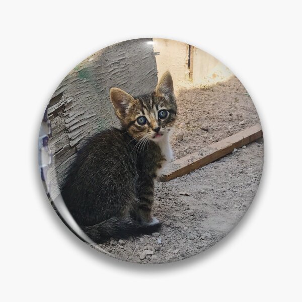 Item preview, Little Kitten designed and sold by Laura399.