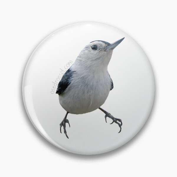 Item preview, Cute, diligent, meeping - the Whitebreasted Nuthatch designed and sold by Ostdrossel Shop.