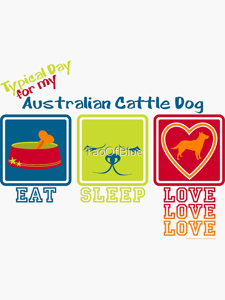 Typical Day For My Australian Cattle Dog by TaoOfBlue