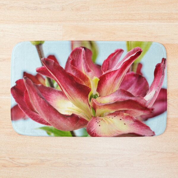 Item preview, Lilium  'Double Sensation'   Double Asiatic lily   designed and sold by Chris Burrows.