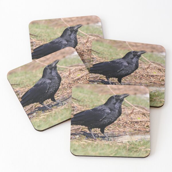 Item preview, Thirsty crow designed and sold by GreyFeatherPhot.