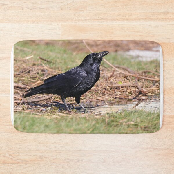Item preview, Thirsty crow designed and sold by GreyFeatherPhot.