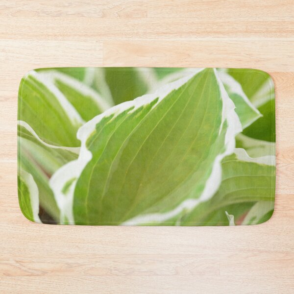 Item preview, Hosta  'Francee'   AGM  Plantain lily  fortunei designed and sold by Chris Burrows.