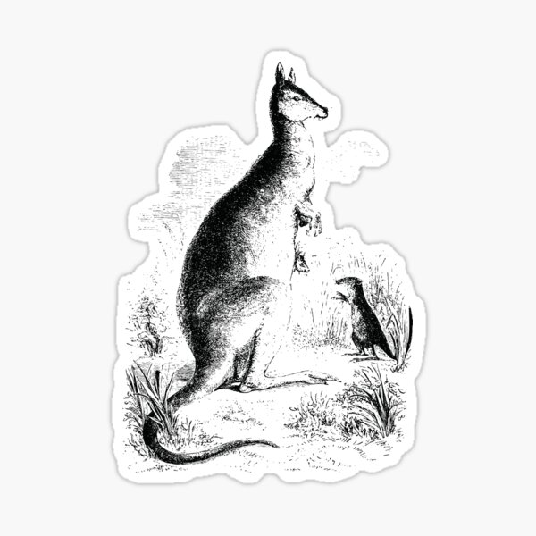 Item preview, Kangaroo black white designed and sold by Seb-Sk93.