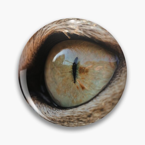 Item preview, Great close-up of a cat's eye designed and sold by ToniStauche.