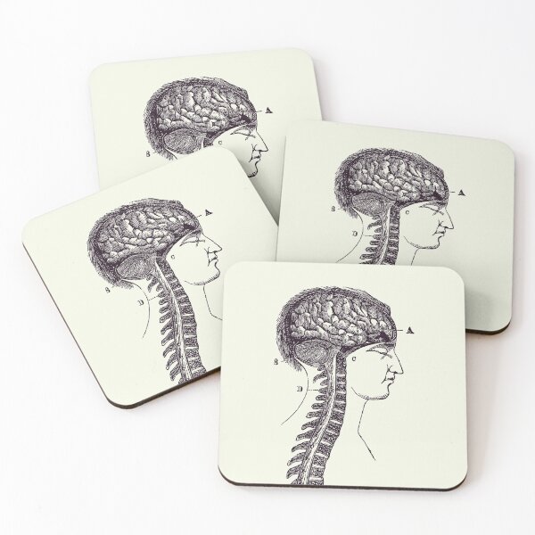 Item preview, Human Spinal Cord and Brain Diagram - Vintage Anatomy 2 designed and sold by VAposters.
