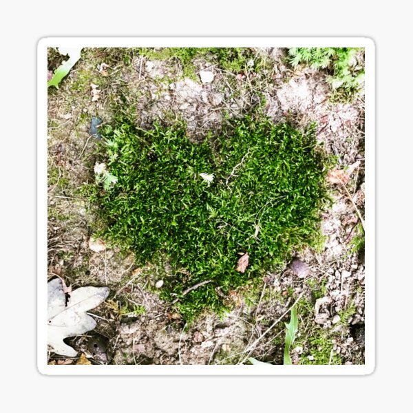 Earth Heart Sticker