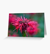 Dance in the rain . by Doktor Faustus . Views - 244. Greeting Card