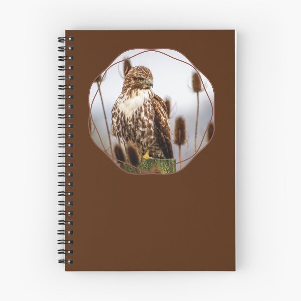 Item preview, Red-Tailed Hawk designed and sold by AvocaSpring.
