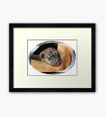First Born Framed Print