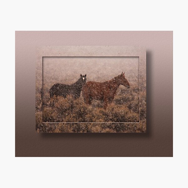 Item preview, Cold and Blowing Snow designed and sold by mustangproject.