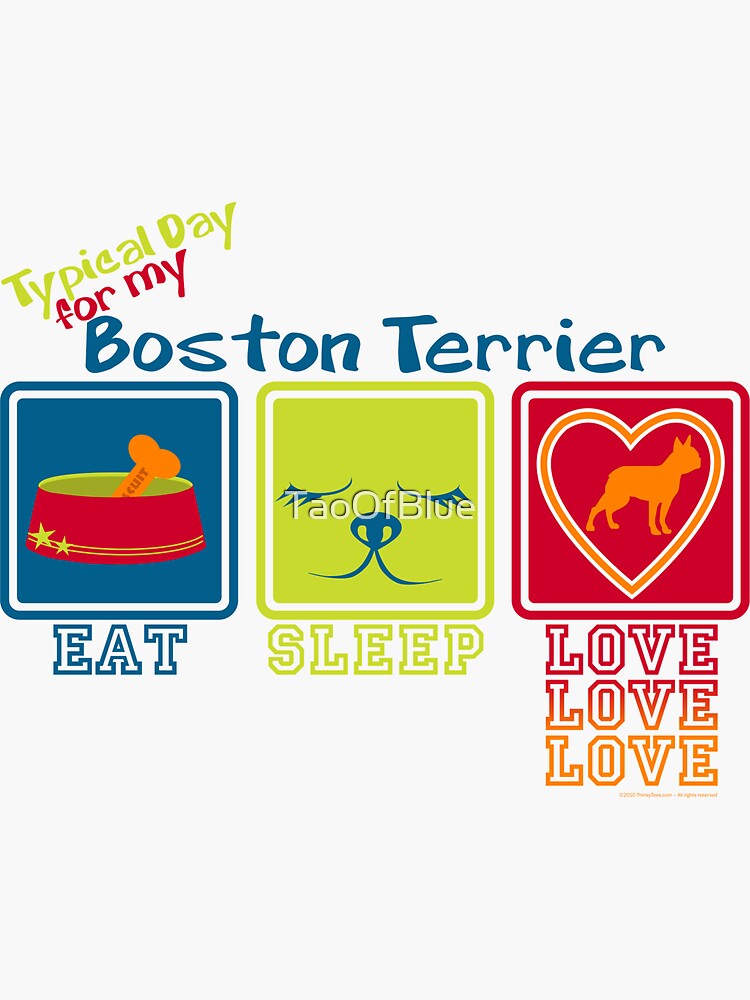 Typical Day For My Boston Terrier by TaoOfBlue