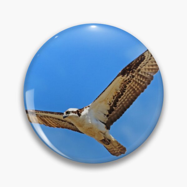 Item preview, Nice Day For Flying designed and sold by Deb Oppermann.