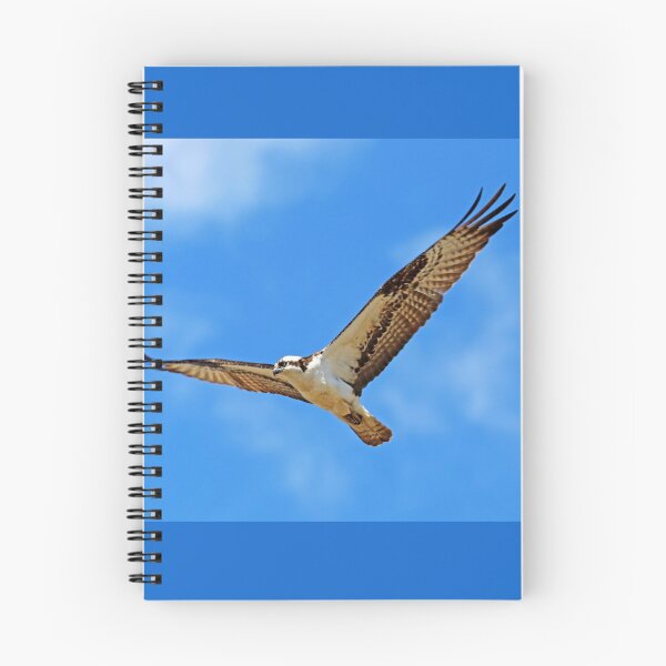 Item preview, Nice Day For Flying designed and sold by Deb Oppermann.