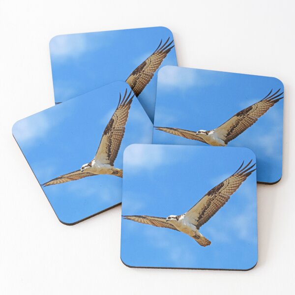 Item preview, Nice Day For Flying designed and sold by Deb Oppermann.