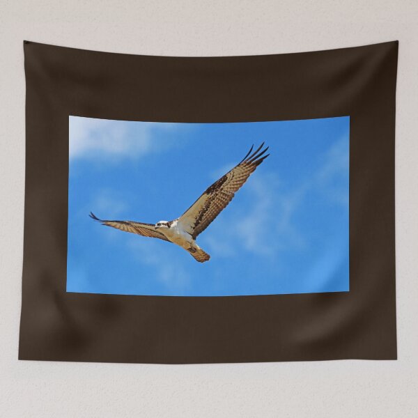 Item preview, Nice Day For Flying designed and sold by Deb Oppermann.
