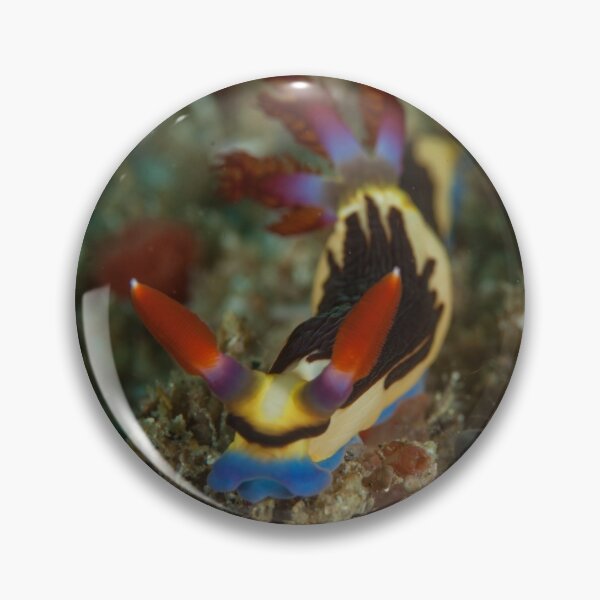 Item preview, Nudibranch  designed and sold by Kyra C. Kalageorgi.
