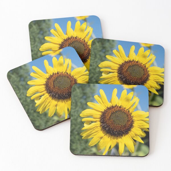 Item preview, Two Sunflowers Seeking Warmth designed and sold by Compass and a Camera.
