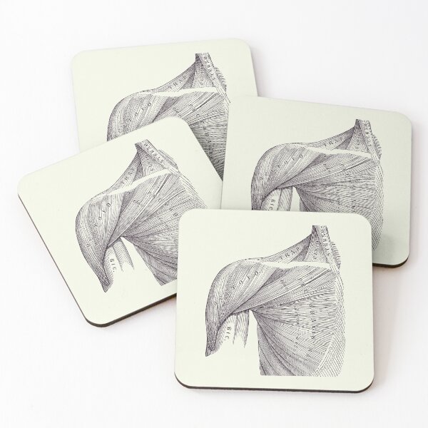 Item preview, Chest and Shoulder Muscular System - Vintage Anatomy 2 designed and sold by VAposters.