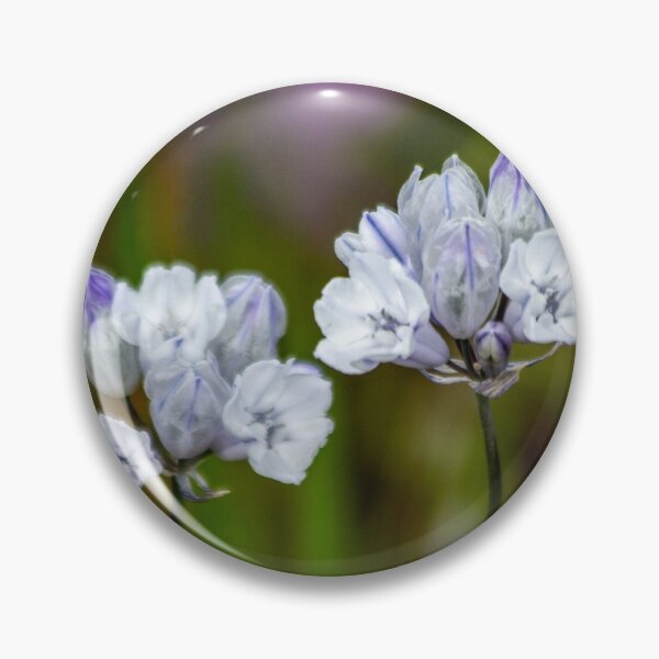 Item preview, Triteleia Grandiflora Howelli, Columbia River Gorge Wildflower designed and sold by AvocaSpring.