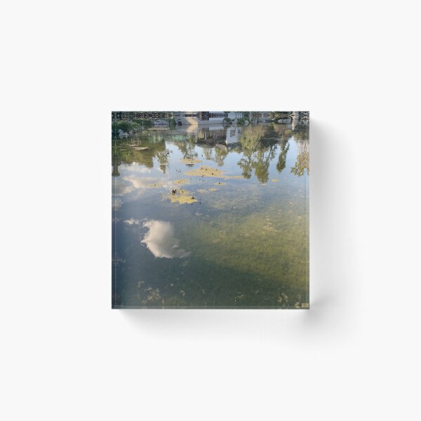 Item preview, Spring - pond reflection designed and sold by agnessa38.