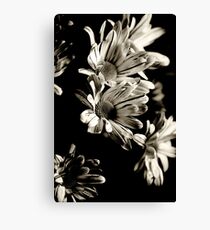 Together Canvas Print