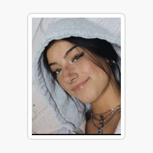 charli d’amelio Sticker