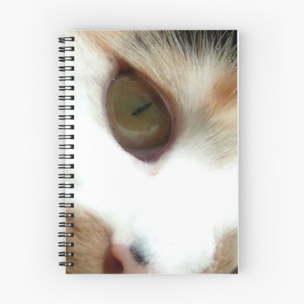 Item preview, Contemplating designed and sold by Carla Jensen.