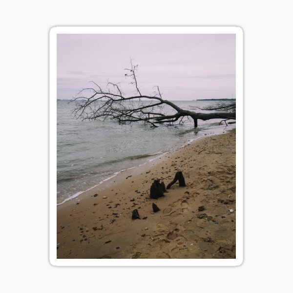 Stormy beach Sticker