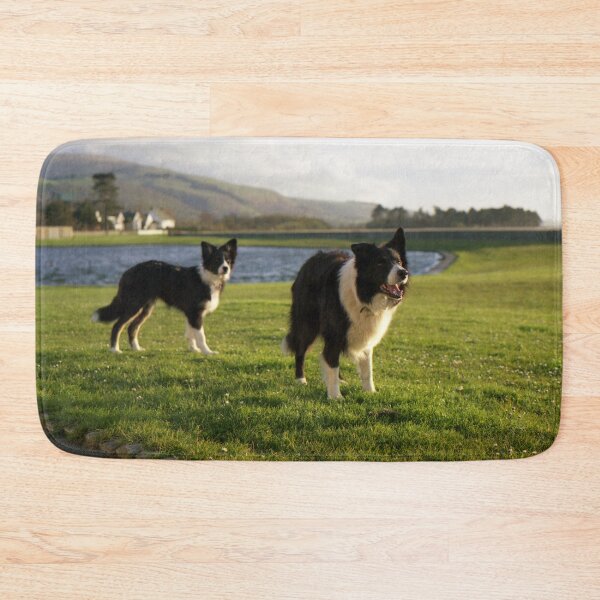 Item preview, Bob and Indy by the pond. designed and sold by Michael Haslam.
