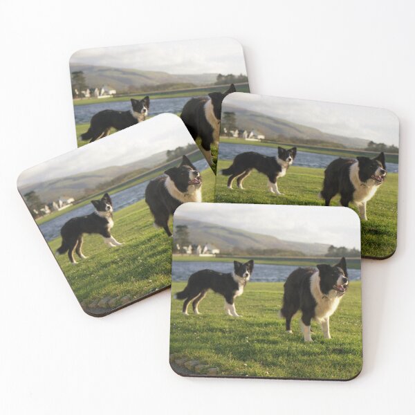 Item preview, Bob and Indy by the pond. designed and sold by Michael Haslam.