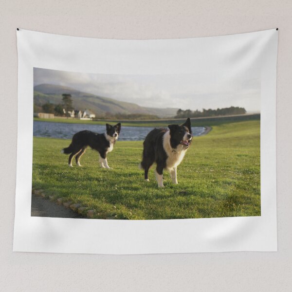 Item preview, Bob and Indy by the pond. designed and sold by Michael Haslam.