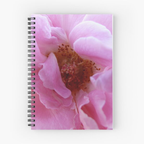Item preview, ~ A Friendship Rose ~ designed and sold by Carla Jensen.