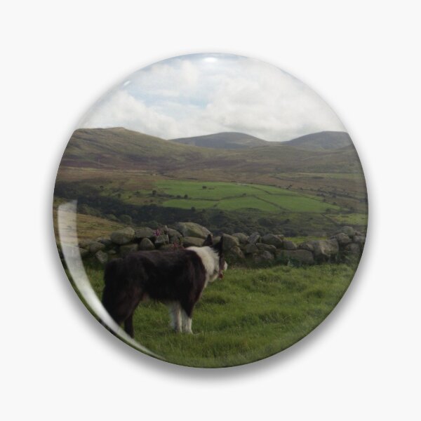 Item preview, Indy atop Dinas designed and sold by Michael Haslam.
