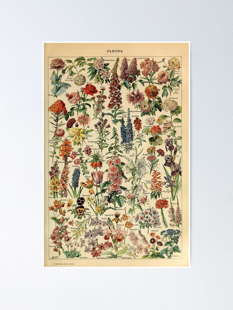 Alternate view of vintage flowers poster Poster