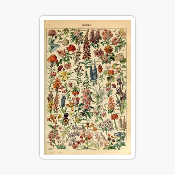 vintage flowers poster Sticker
