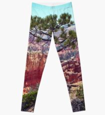 Canyon View Leggings