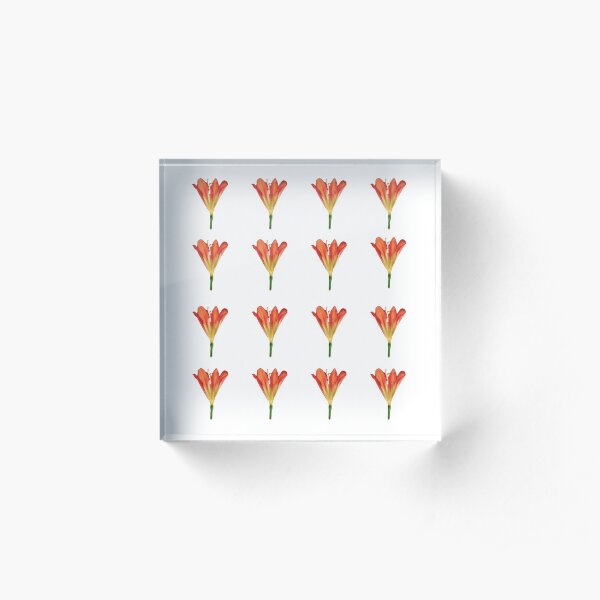 Orange Flowers Acrylic Block