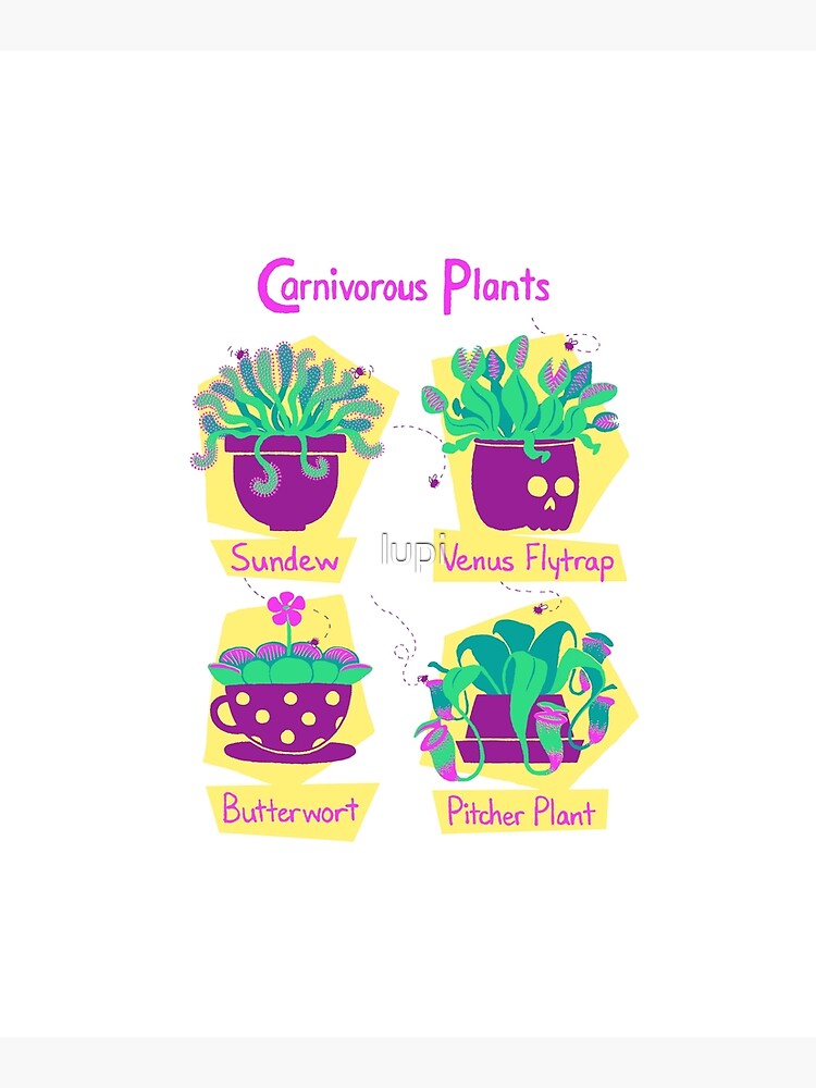 Carnivorous Plants by lupi