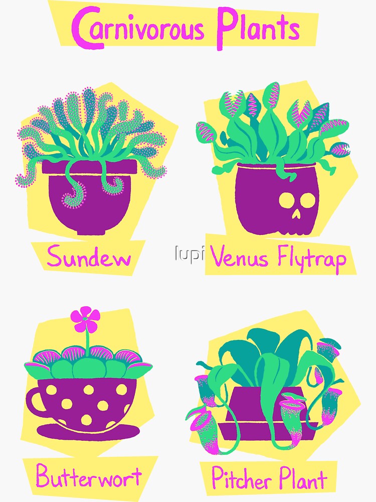 Carnivorous Plants by lupi