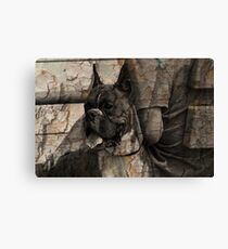 Boxer Canvas Print