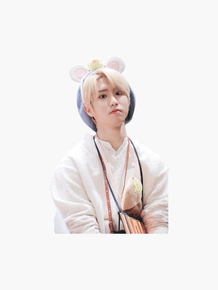 Stray kids han | Sticker