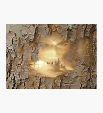 In The Name Of God Photographic Print