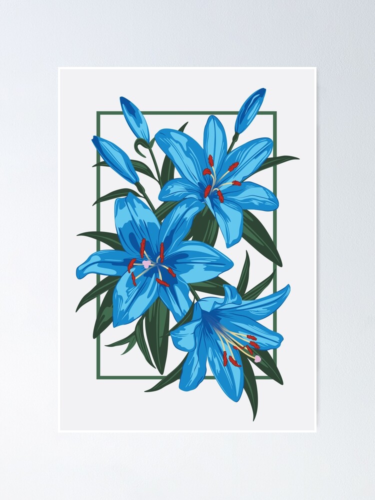 Póster «Azucenas Azules. Ilustración de la flor» de lents | Redbubble
