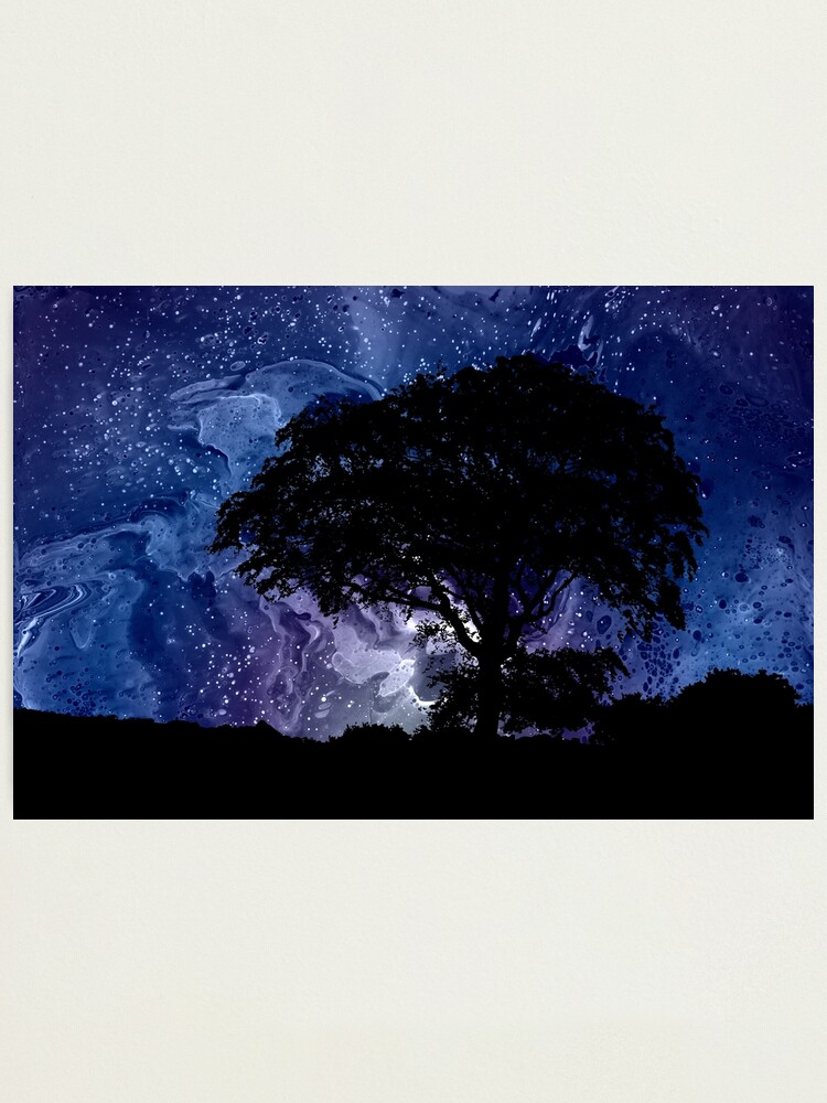 Alternate view of Nightfall: Twilight scenery, trees, sky, stars Photographic Print