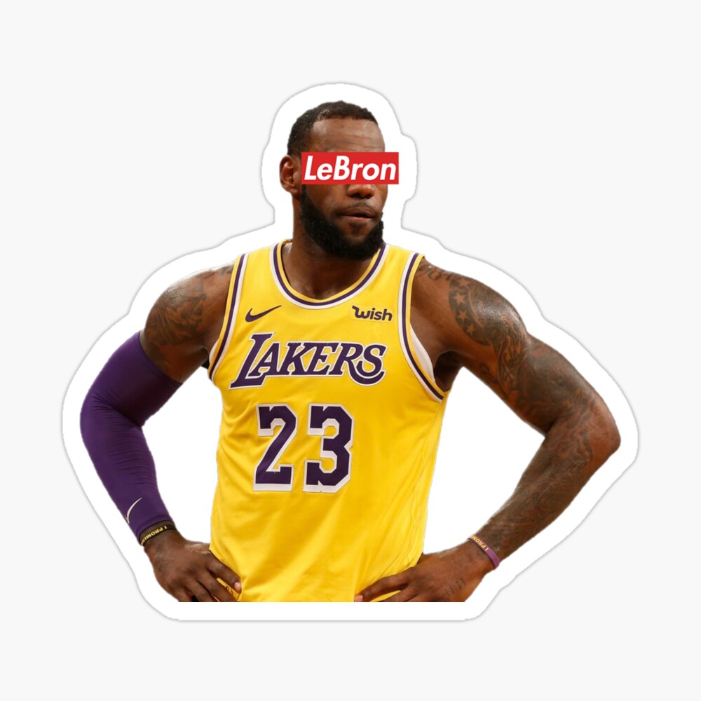 lebron supreme