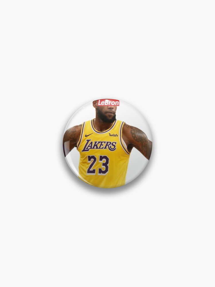 lebron james pin